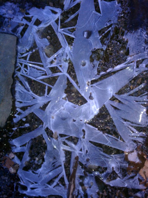 snow and ice on mount rogers 5